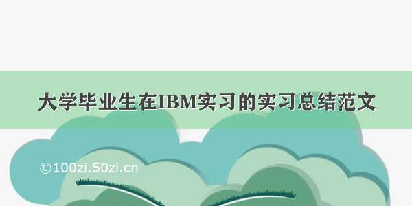 大学毕业生在IBM实习的实习总结范文