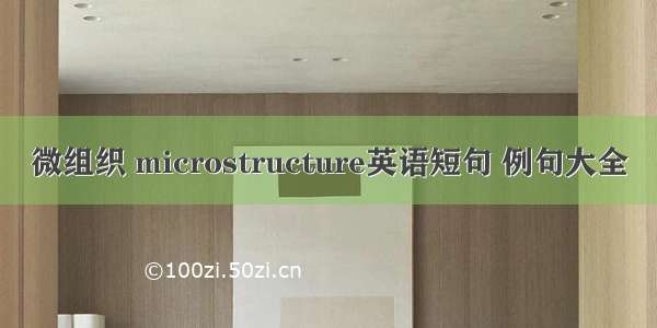 微组织 microstructure英语短句 例句大全