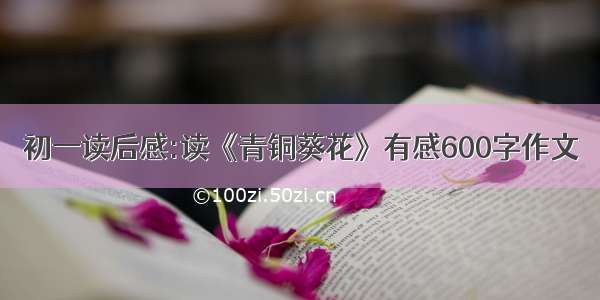 初一读后感:读《青铜葵花》有感600字作文