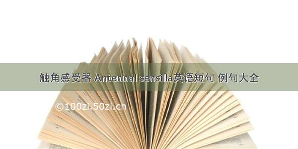 触角感受器 Antennal sensilla英语短句 例句大全