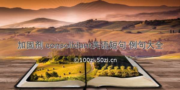 加固剂 consolidant英语短句 例句大全