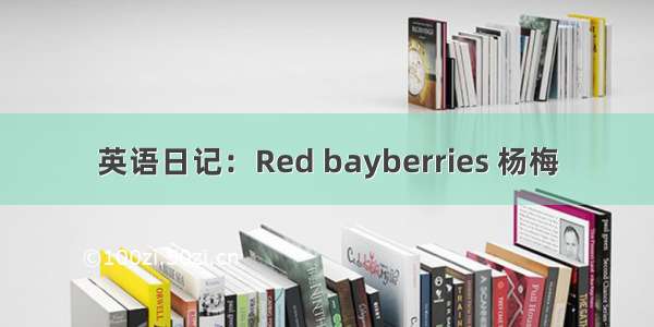英语日记：Red bayberries 杨梅