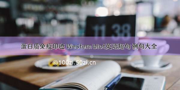 蛋白质免疫印迹 Western blot英语短句 例句大全