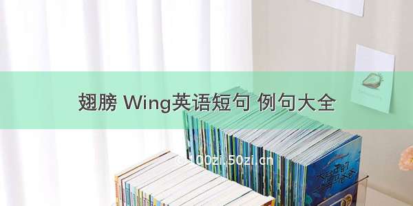 翅膀 Wing英语短句 例句大全