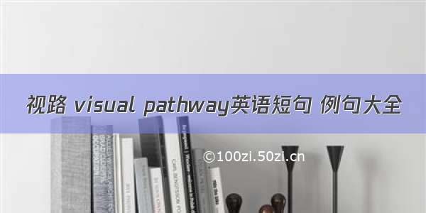 视路 visual pathway英语短句 例句大全