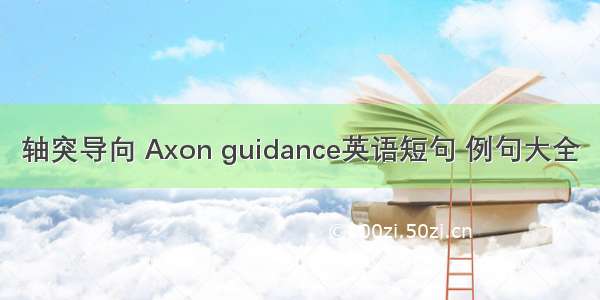 轴突导向 Axon guidance英语短句 例句大全