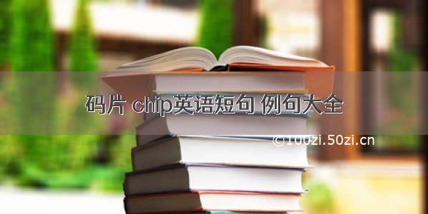 码片 chip英语短句 例句大全