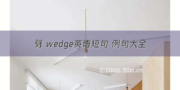 劈 wedge英语短句 例句大全