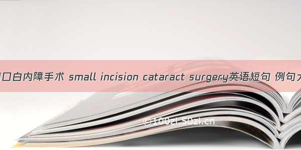 小切口白内障手术 small incision cataract surgery英语短句 例句大全