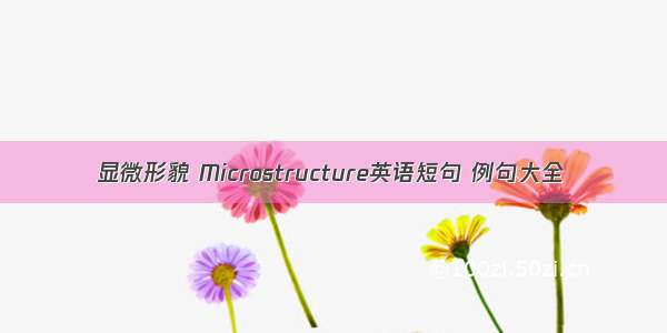 显微形貌 Microstructure英语短句 例句大全
