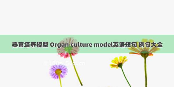 器官培养模型 Organ culture model英语短句 例句大全