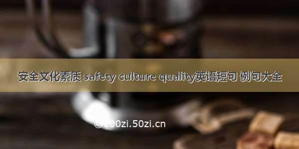 安全文化素质 safety culture quality英语短句 例句大全