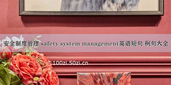 安全制度管理 safety system management英语短句 例句大全