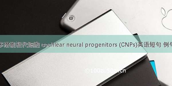 耳蜗多潜能祖代细胞 cochlear neural progenitors (CNPs)英语短句 例句大全