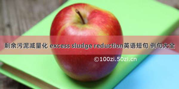 剩余污泥减量化 excess sludge reduction英语短句 例句大全