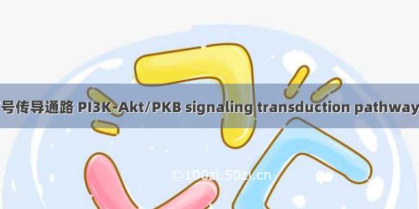 PI3K-Akt/PKB信号传导通路 PI3K-Akt/PKB signaling transduction pathway英语短句 例句大全