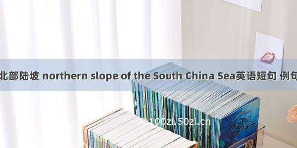 南海北部陆坡 northern slope of the South China Sea英语短句 例句大全