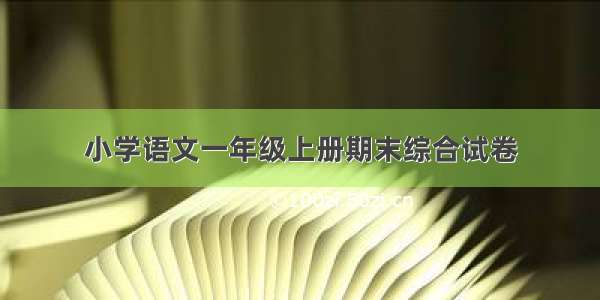 小学语文一年级上册期末综合试卷