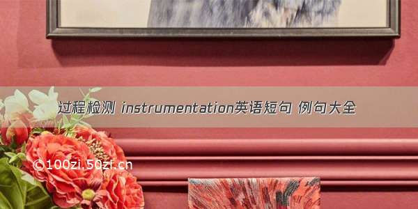 过程检测 instrumentation英语短句 例句大全