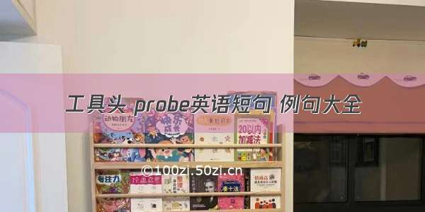 工具头 probe英语短句 例句大全