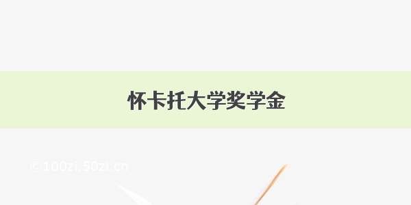 怀卡托大学奖学金