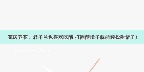 家居养花：君子兰也喜欢吃醋 打翻醋坛子就能轻松射箭了！