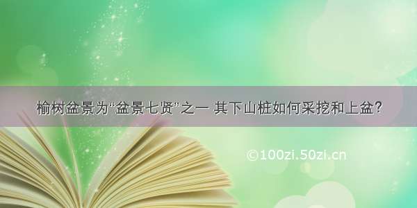 榆树盆景为“盆景七贤”之一 其下山桩如何采挖和上盆？