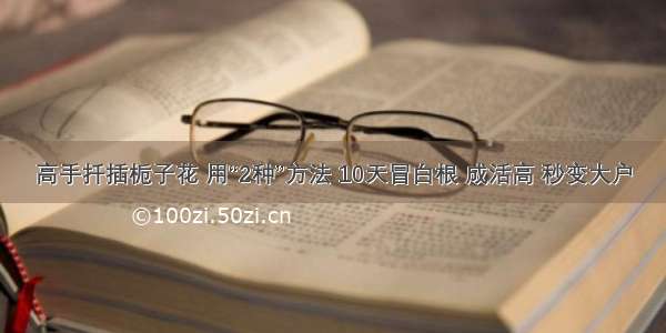 高手扦插栀子花 用“2种”方法 10天冒白根 成活高 秒变大户