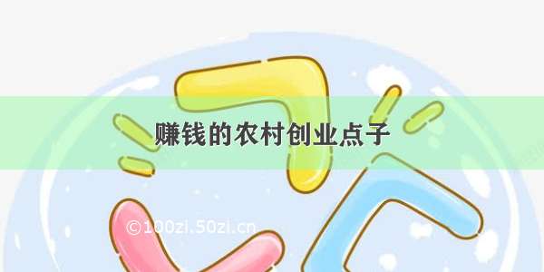 赚钱的农村创业点子