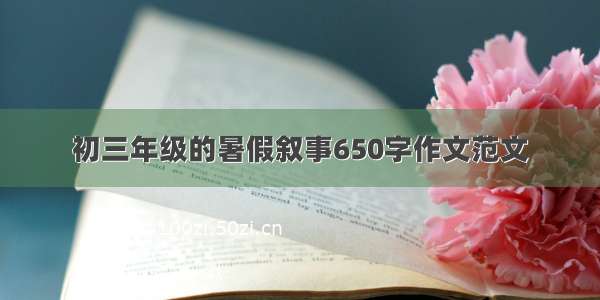 初三年级的暑假叙事650字作文范文