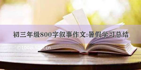 初三年级800字叙事作文:暑假学习总结