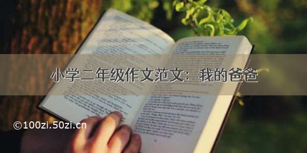 小学二年级作文范文：我的爸爸