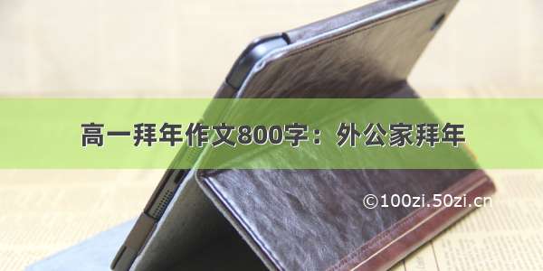 高一拜年作文800字：外公家拜年