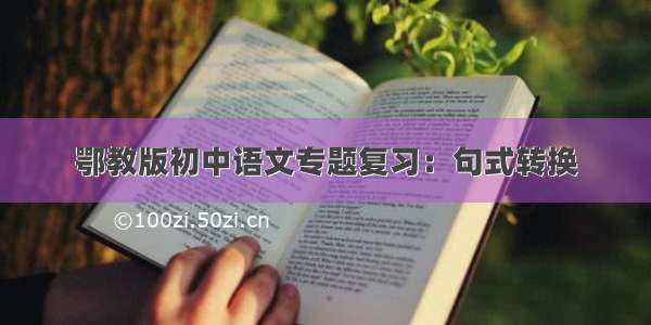 鄂教版初中语文专题复习：句式转换