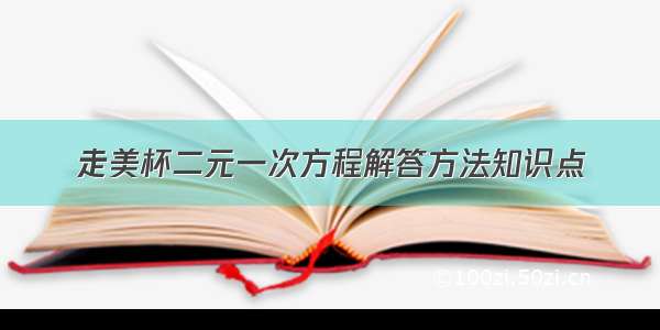 走美杯二元一次方程解答方法知识点