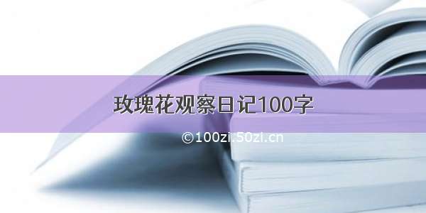 玫瑰花观察日记100字