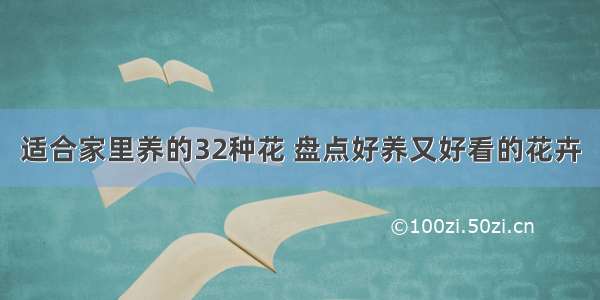 适合家里养的32种花 盘点好养又好看的花卉