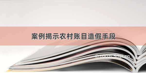 案例揭示农村账目造假手段