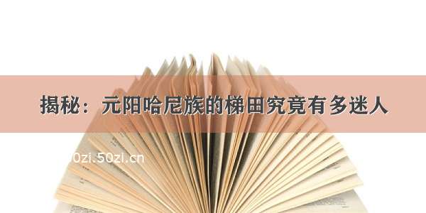 揭秘：元阳哈尼族的梯田究竟有多迷人