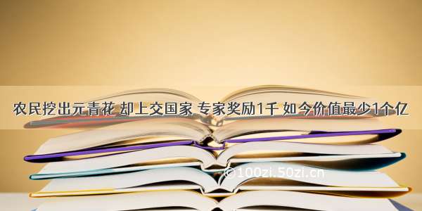 农民挖出元青花 却上交国家 专家奖励1千 如今价值最少1个亿