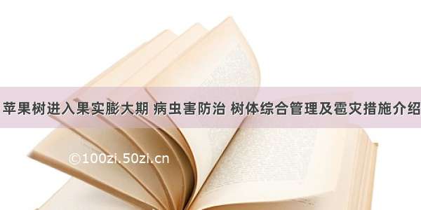 苹果树进入果实膨大期 病虫害防治 树体综合管理及雹灾措施介绍