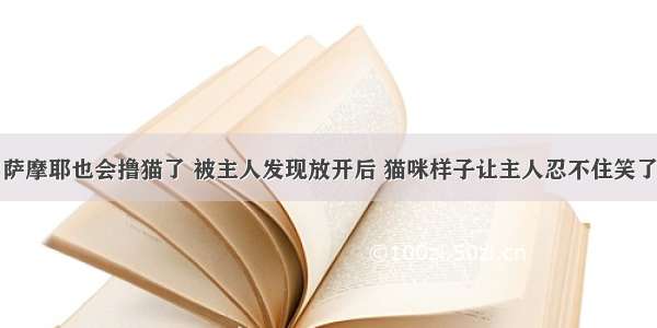 萨摩耶也会撸猫了 被主人发现放开后 猫咪样子让主人忍不住笑了