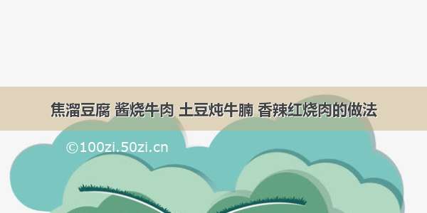 焦溜豆腐 酱烧牛肉 土豆炖牛腩 香辣红烧肉的做法