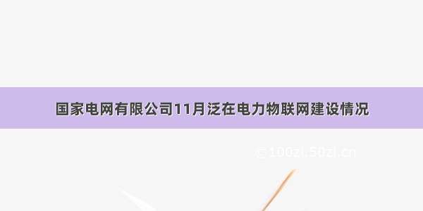 国家电网有限公司11月泛在电力物联网建设情况