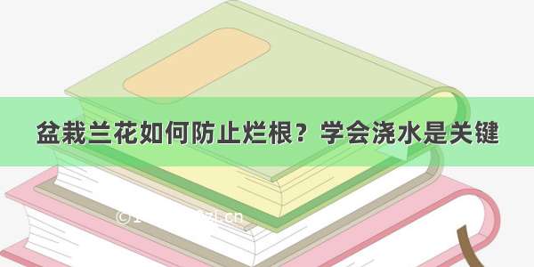 盆栽兰花如何防止烂根？学会浇水是关键