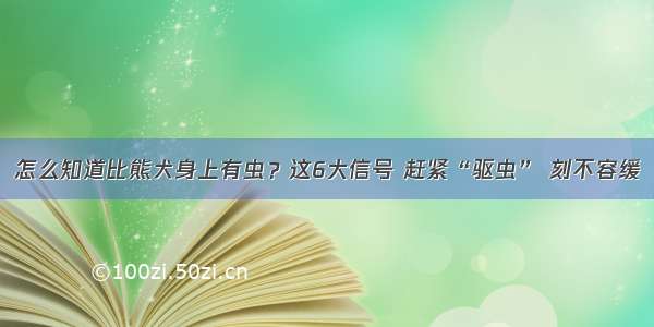 怎么知道比熊犬身上有虫？这6大信号 赶紧“驱虫” 刻不容缓