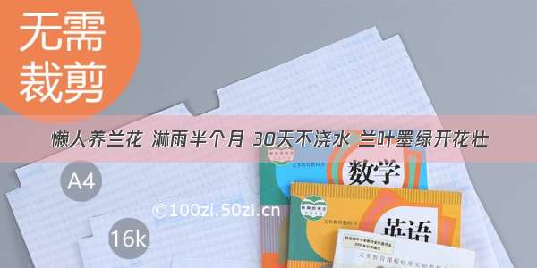 懒人养兰花 淋雨半个月 30天不浇水 兰叶墨绿开花壮