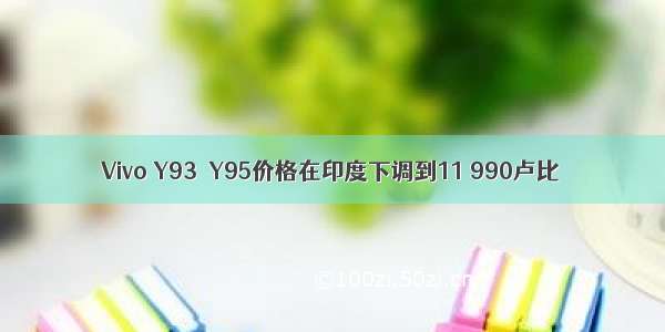 Vivo Y93  Y95价格在印度下调到11 990卢比