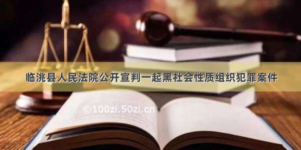 临洮县人民法院公开宣判一起黑社会性质组织犯罪案件