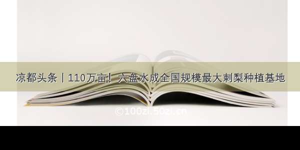 凉都头条丨110万亩！六盘水成全国规模最大刺梨种植基地